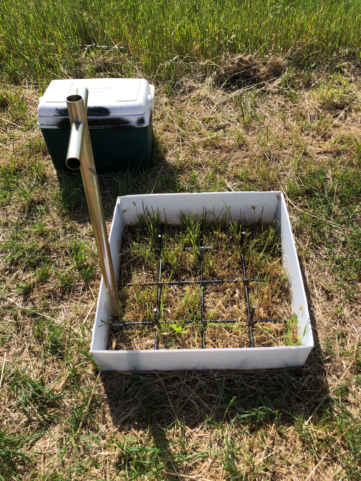 Fig. 3. Soil sampling from the appropriate mesocosm uni