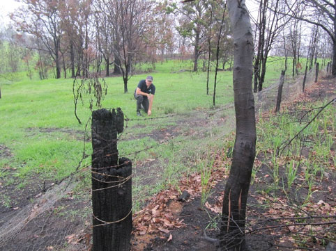 a) A site near Cobargo in the Bega Valley, February 2020 (location 4, Figure 2).  One month after the fires were extinguished pasture regrowth is apparent and as fences are repaired as stock are reintroduced.