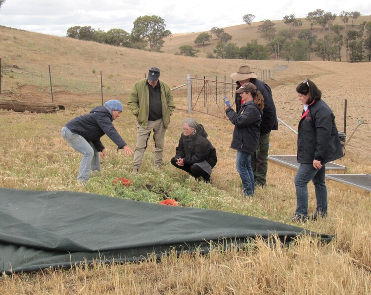 Sally Kirby shows the dung beetle arena at a Central Tablelands Landcare event at Molong, NSW