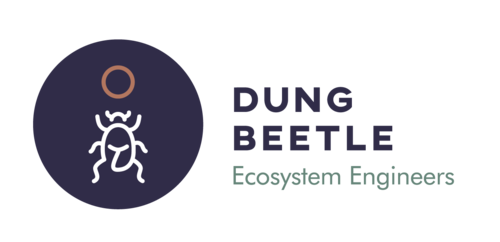 Dung Beetle Ecosystem Engineers