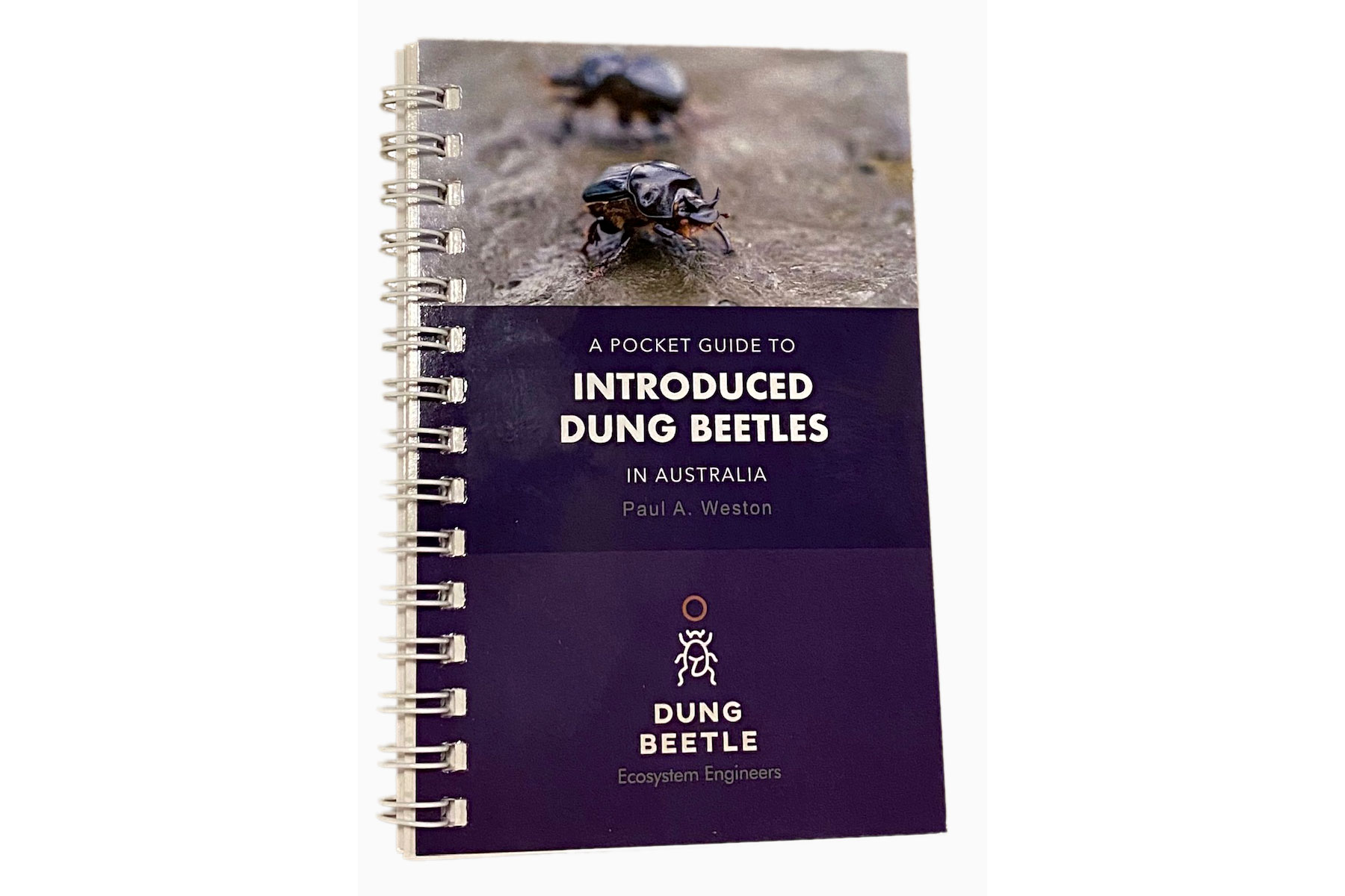 Dung Beetle pocket guide