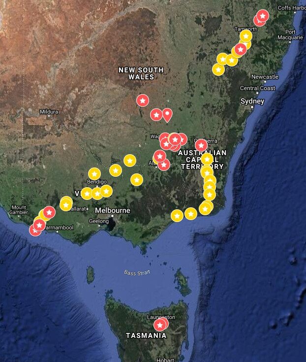 Monitoring sites across Australia. Red stars are intensive monitoring sites that will be regularly monitored over the next 12-24 months. Yellow stars are less intensive monitoring sites including reports made via the MyDungBeetle Reporter app.