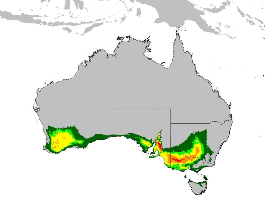 Bubas Map