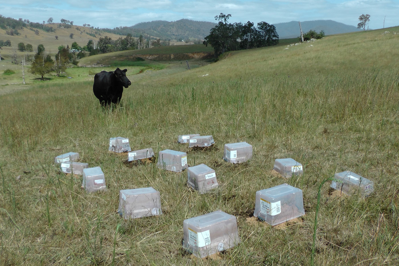 Figure 3: Release site in southern NSW