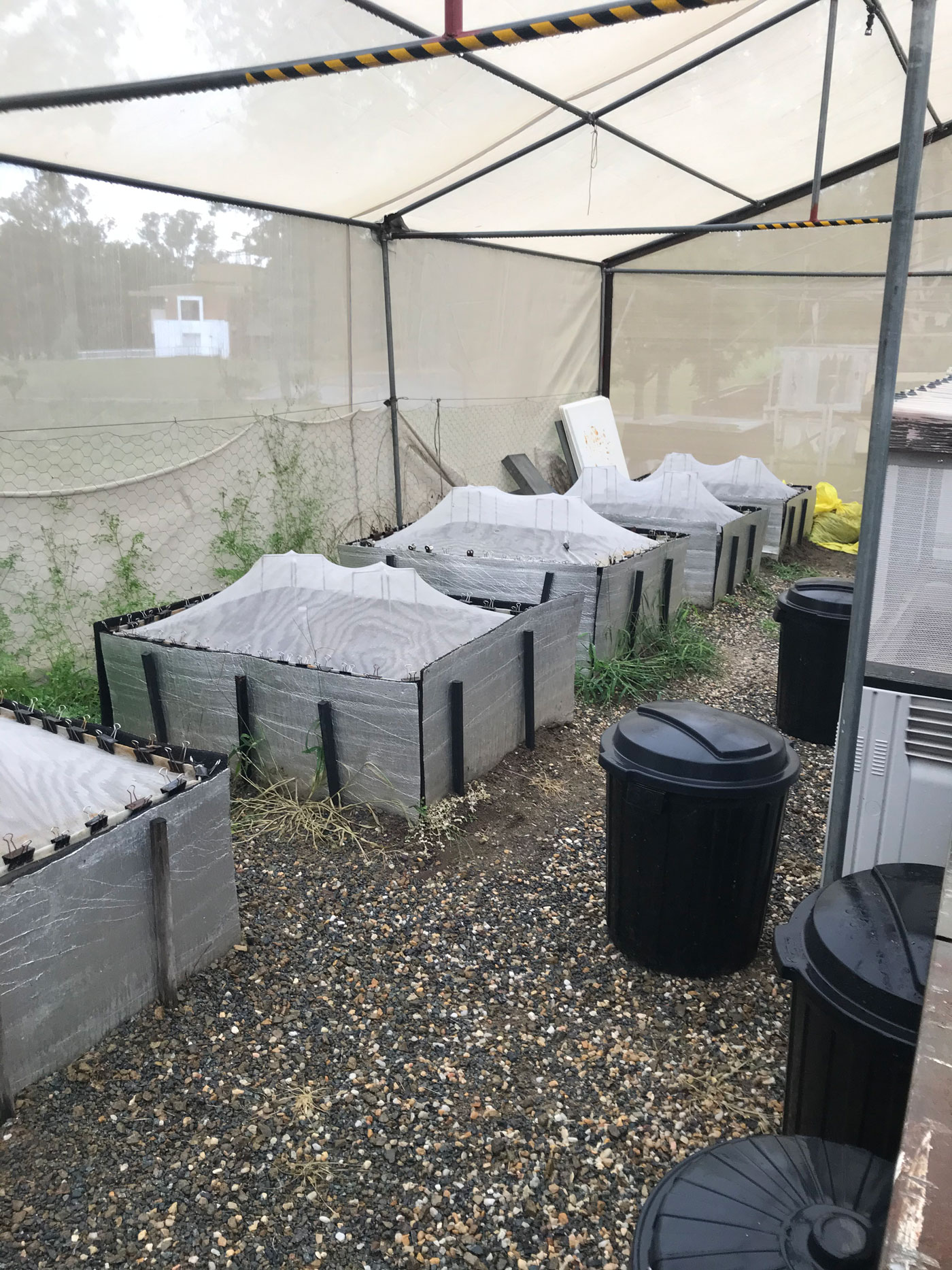 hoop houses