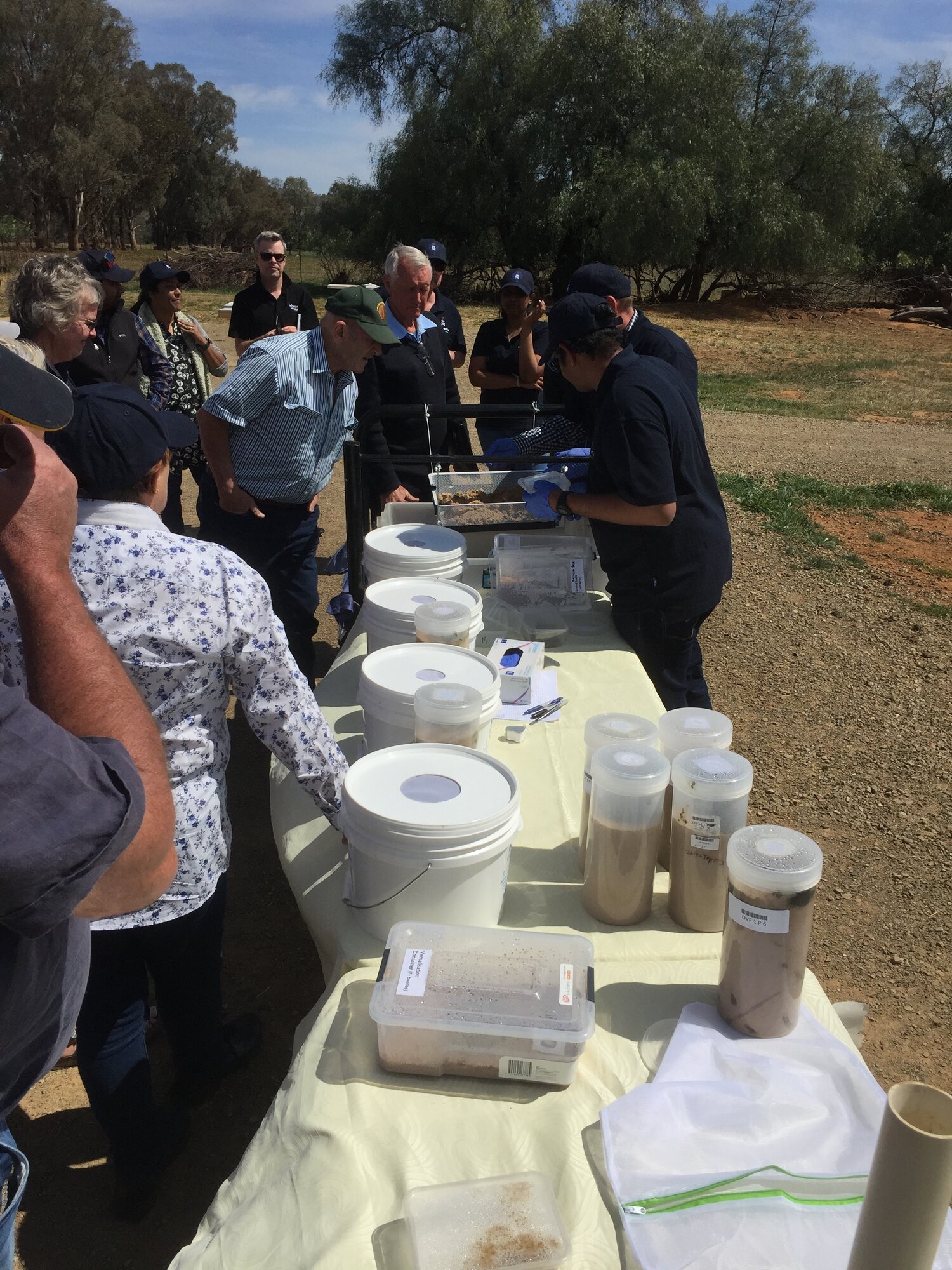 The mass rearing team at Charles Sturt Wagga Wagga showed off their skills in sorting brood balls from the rearing jars and other dung beetle tricks.