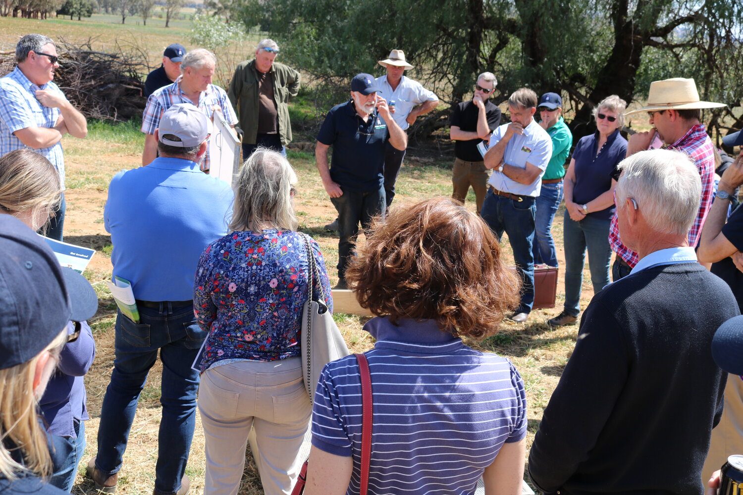 The DBEE project has had a great deal of interest in Farmer Nurseries for dung beetles