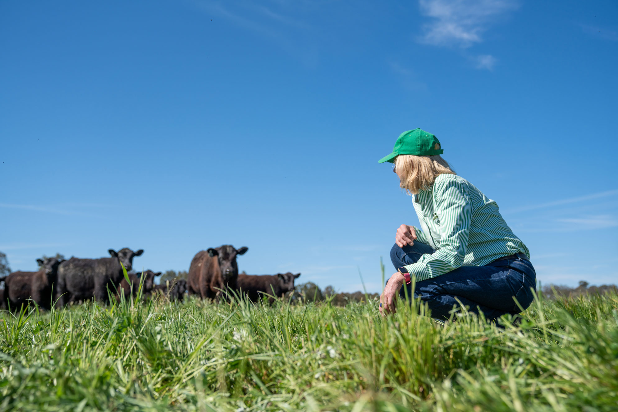 Lucinda Corrigan | Livestock Producer