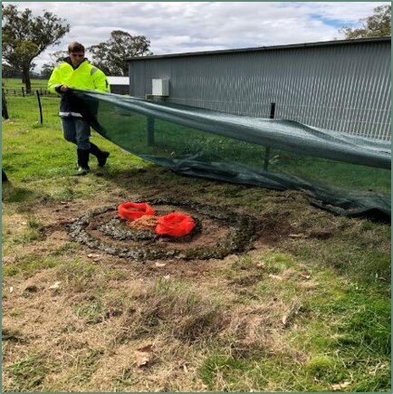 Soil cores are covered by the shade cloth. The rings of dung encourage the beetles to stay close.