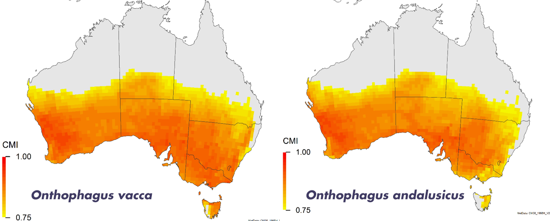 EOI map