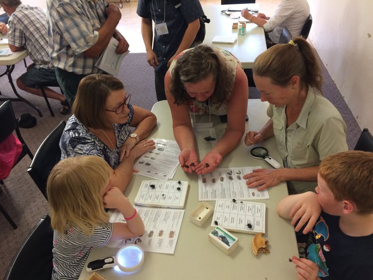 Attendees practice their identification skills.