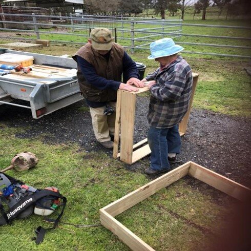 Setting up the dung beetle nursery requires concentrated assembly skills