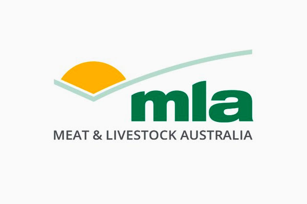 MLA