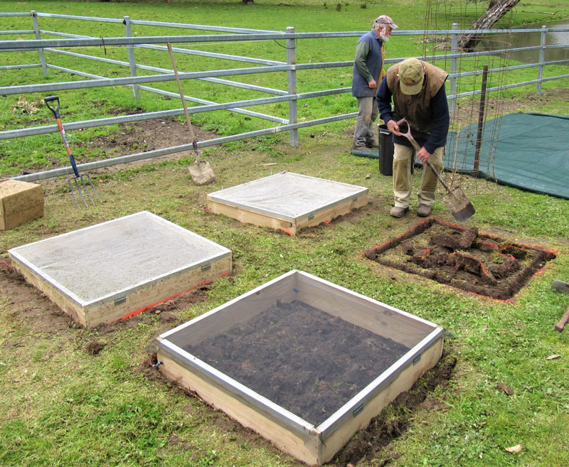 Figure 2. Illustration of on-farm beetle nurseries made from wood frames and topped with mesh. These hold beetles during reproduction and prevent competition from any local species.