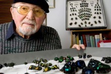 George F. Bornemissza – Dung Beetle Guru